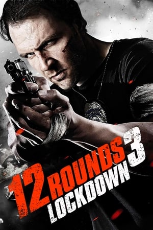 12 Rounds 3 Lockdown 2015 Hindi Dual Audio 300MB Movie Poster
