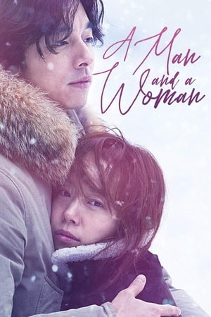 A Man and A Woman (2016) Hindi Dual Audio [950MB] Movie Poster