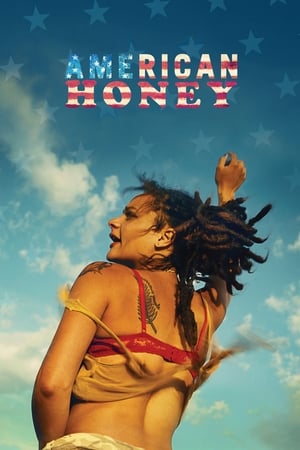 American Honey (2016) Hindi Dual Audio [1.4GB] Movie Poster