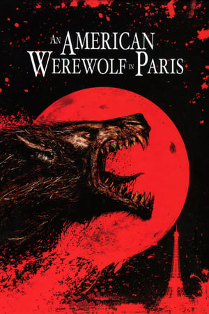 An American Werewolf in Paris 1997 Hindi Dual Audio 300MB Movie Poster