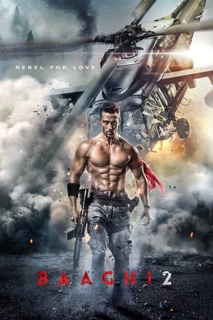 Baaghi 2 2018 Movie [1.4GB] Movie Poster