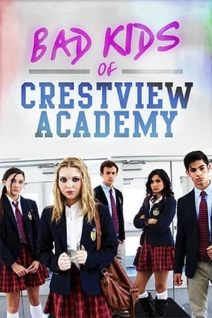 Bad Kids of Crestview Academy (2017) Hindi Dual Audio [900MB] Movie Poster