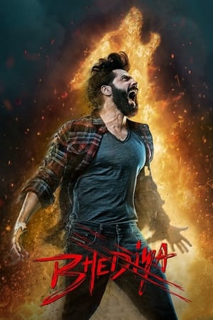 Bhediya 2022 Hindi Movie Pre- – 480p