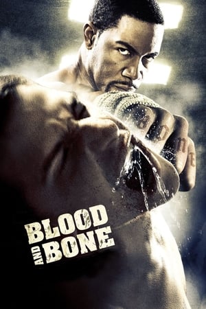 Blood and Bone (2009) Hindi Dual Audio [950MB] Movie Poster