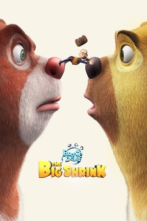 Boonie Bears The Big Shrink 2018 Hindi Dual Audio 300MB Movie Poster