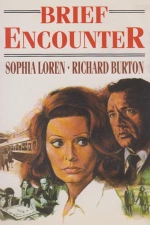 Brief Encounter 1974 Hindi Dual Audio 300MB Movie Poster