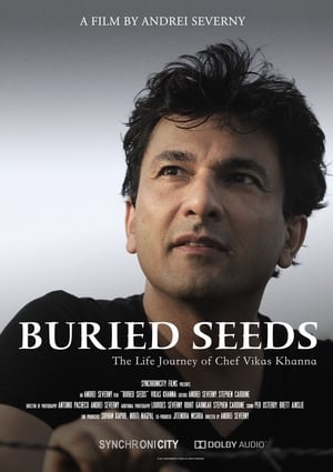 Buried Seeds 2019 Hindi Dual Audio [700MB]