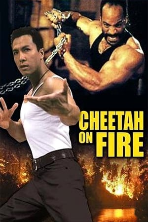 Cheetah on Fire 1992 Hindi Dual Audio 290MB Movie Poster