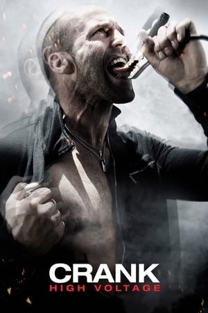 Crank: High Voltage (2009) Hindi Dual Audio [1GB] Movie Poster