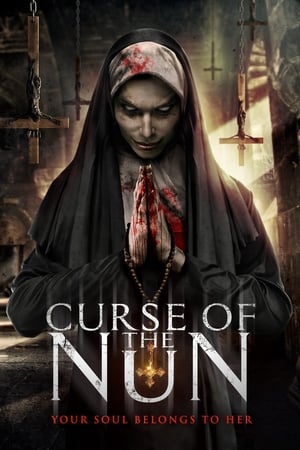 Curse of the Nun (2019) Hindi Dual Audio [800MB] Movie Poster