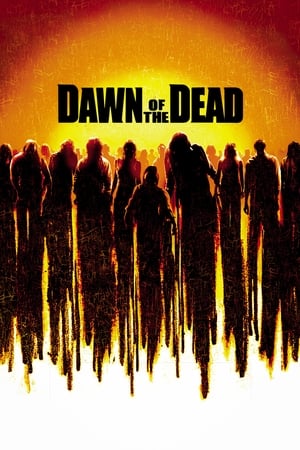 Dawn of the Dead (2004) Hindi Dual Audio 400MB Movie Poster