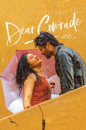 Dear Comrade 2019 (Hindi -Telugu) Dual Audio [1.4GB] Movie Poster