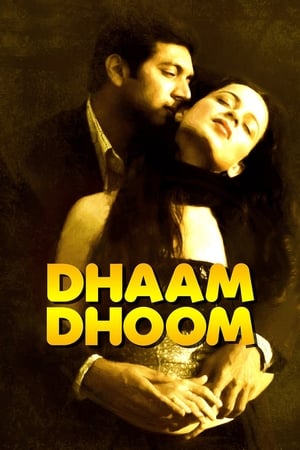 Dhaam Dhoom 2008 Dual Audio [Hindi - Tamil] [1.3GB] Movie Poster