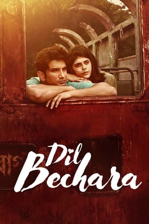 Dil Bechara (2020) Hindi Movie - [350MB] Movie Poster