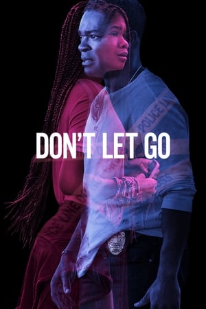 Don’t Let Go (2019) Hindi Dual Audio 350MB Movie Poster