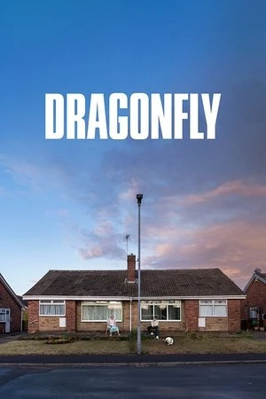 Dragonfly 2025 English Hindi Dual Audio Movie Poster