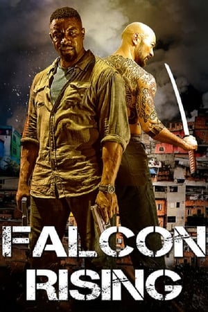 Falcon Rising (2014) Hindi Dual Audio 300MB Movie Poster