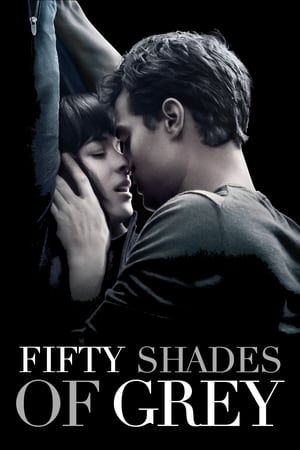 Fifty Shades of Grey 2015 Hindi Dual Audio [1.1GB] Movie Poster