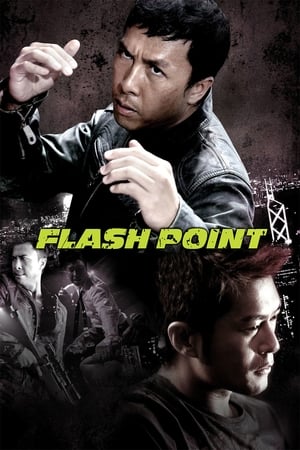 Flash Point (2007) Hindi Dual Audio 300MB Movie Poster