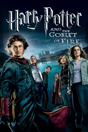Harry Potter and the Goblet of Fire 2005 Hindi Dual Audio