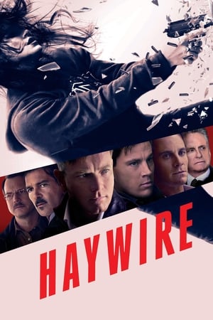 Haywire (2011) Hindi Dual Audio [700MB] Movie Poster