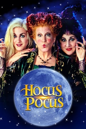 Hocus Pocus 1993 Hindi Dual Audio 320MB Movie Poster