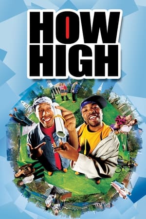 How High (2001) Hindi Dual Audio 300MB Movie Poster