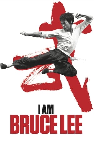 I Am Bruce Lee 2012 300MB Hindi Dual Audio