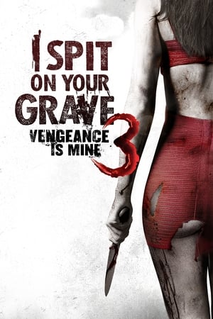 I Spit on Your Grave: Vengeance Is Mine (2015) Hindi Dual Audio – Movie Poster