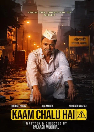 Kaam Chalu Hai 2024 Hindi Dual Audio Movie Poster