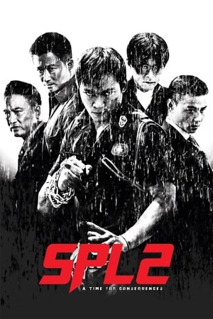 Kill Zone 2 (2015) Hindi Dual Audio [1.5GB] ESubs Movie Poster