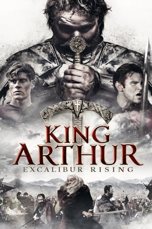 King Arthur: Excalibur Rising 2017 Hindi Dual Audio – Movie Poster
