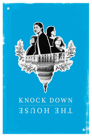 Knock Down the House (2019) Hindi Dual Audio [880MB]