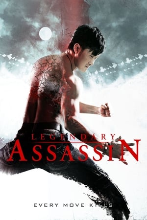 Legendary Assassin (2008) Hindi Dual Audio 300MB Movie Poster