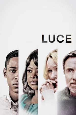 Luce 2019 Hindi Dual Audio 340MB Movie Poster