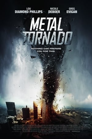 Metal Tornado 2011 Hindi Dual Audio [1GB] Movie Poster