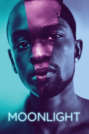 Moonlight (2016) Full Movie [] 800MB