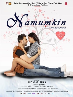Namumkin Tere Bin Jeena 2020 Movie [740MB] Movie Poster