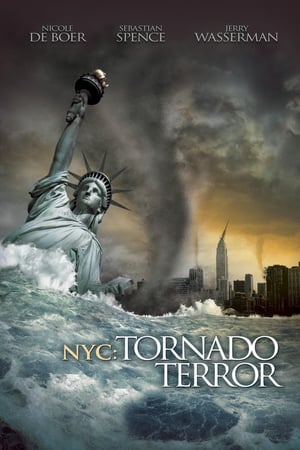 NYC Tornado Terror 2008 Hindi Dual Audio [1.1GB] Movie Poster