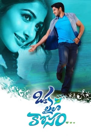 Oka Laila Kosam 2014 (Hindi – Telugu) Dual Audio [1.2GB] Movie Poster