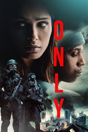 Only 2019 Hindi Dual Audio 300MB Movie Poster