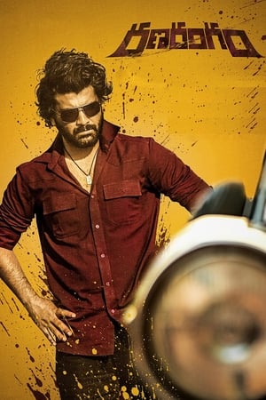 Ranarangam 2019 (Hindi – Telugu) Dual Audio 450MB Movie Poster