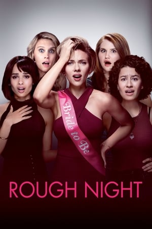 Rough Night (2017) Hindi Dual Audio [800MB] Movie Poster