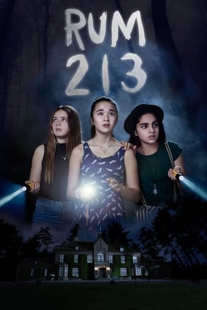 Rum 213 2017 Hindi Dual Audio [800MB] Movie Poster