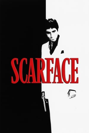 Scarface (1983) Dual Audio Hindi Movie - 1.4GB Movie Poster