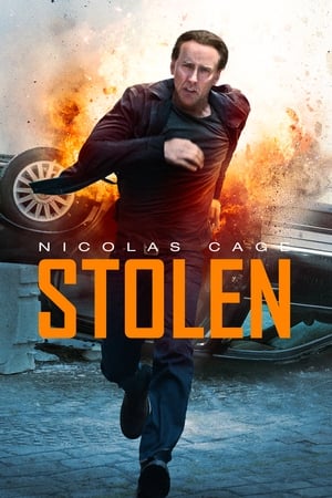 Stolen (2012) Hindi Dual Audio 300MB ESubs Movie Poster