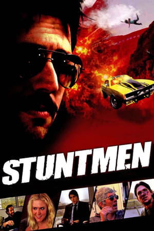 Stuntmen 2009 Hindi Dual Audio 300MB Movie Poster