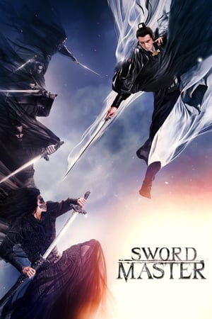 Sword Master 2016 Hindi Dual Audio 340MB Movie Poster