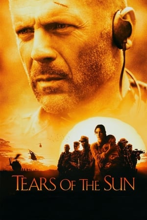 Tears of the Sun 2003 Hindi Dual Audio [970MB]