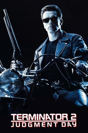 Terminator 2 (1991) Hindi Dual Audio 500MB Movie Poster